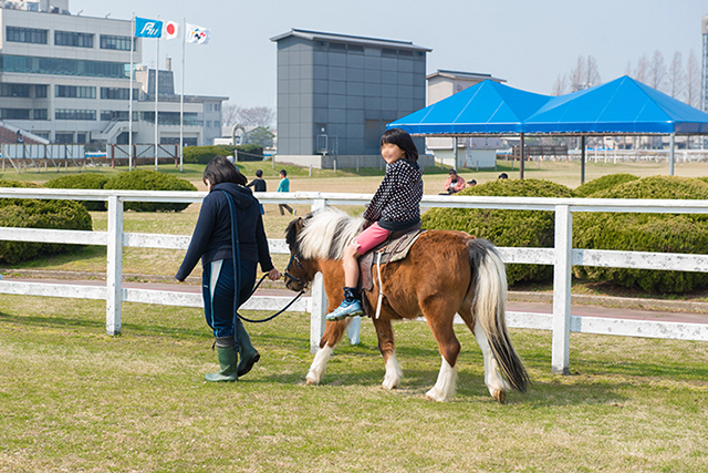 金沢競馬場 ポニー乗馬・遊園地の写真