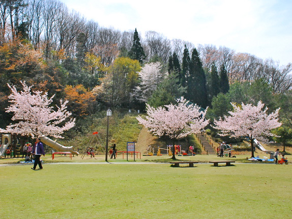 和田山・末寺山史跡公園の写真