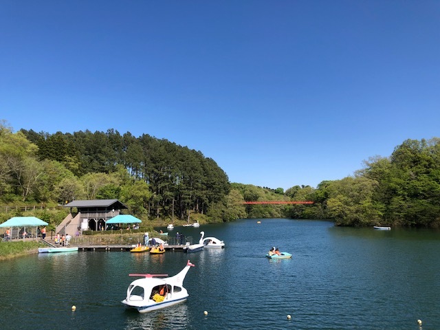 石川県森林公園の写真