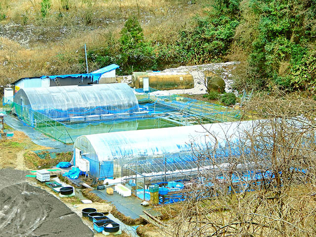 石川県金沢の動物ふれあいのお店 スポット 金沢ラボ 石川県金沢の動物ふれあいのお店 スポット 金沢ラボ
