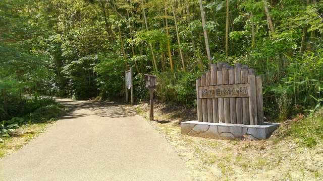 橋立自然公園の写真