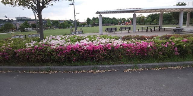 緑地 公園 犀川