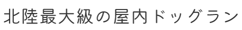 北陸最大級の屋内ドッグラン