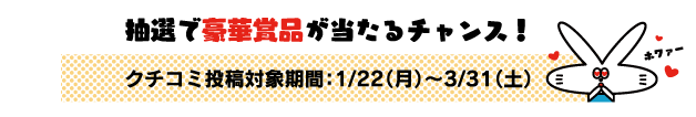 クチコミ投稿対象期間