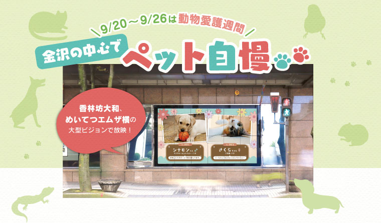 祝☆令和改元記念「アンケートでポイントGETキャンペーン」