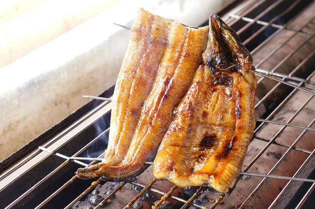 鰻の蒲焼き